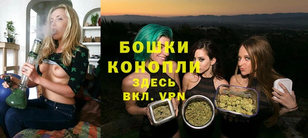 прущая мука Каменка
