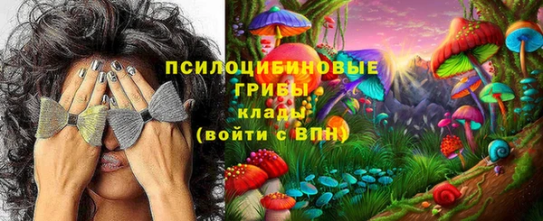 прущая мука Каменка