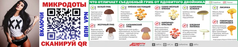 Купить где  Велиж  Галлюциногенные грибы Psilocybine cubensis 