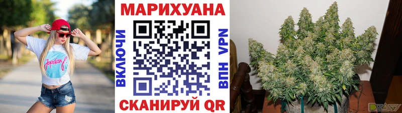 МАРИХУАНА сатива  Купить где  Велиж 